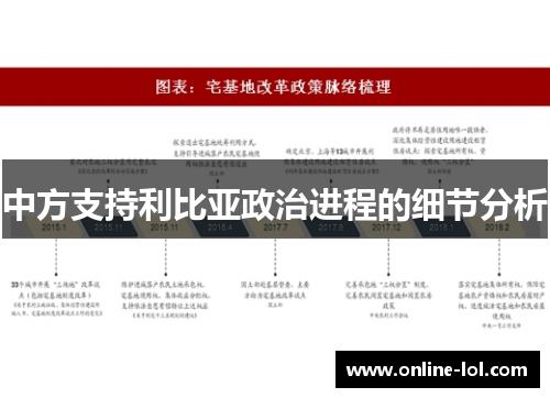 中方支持利比亚政治进程的细节分析